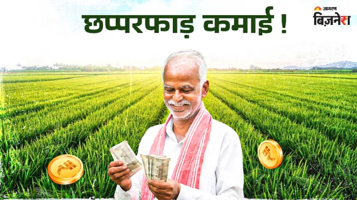 Business Idea: 10 हजार लगाओ, 2.5 लाख तक कमाओ