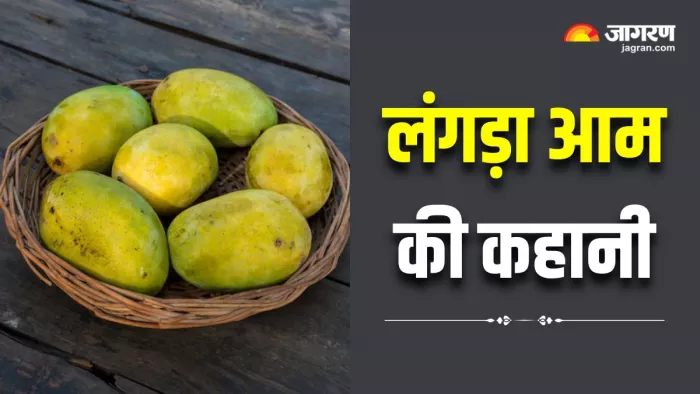 बनारस के एक पुजारी से कैसे जुड़ा फलों के राजा की इस खास किस्म का नाम? (Image Source: Freepik)