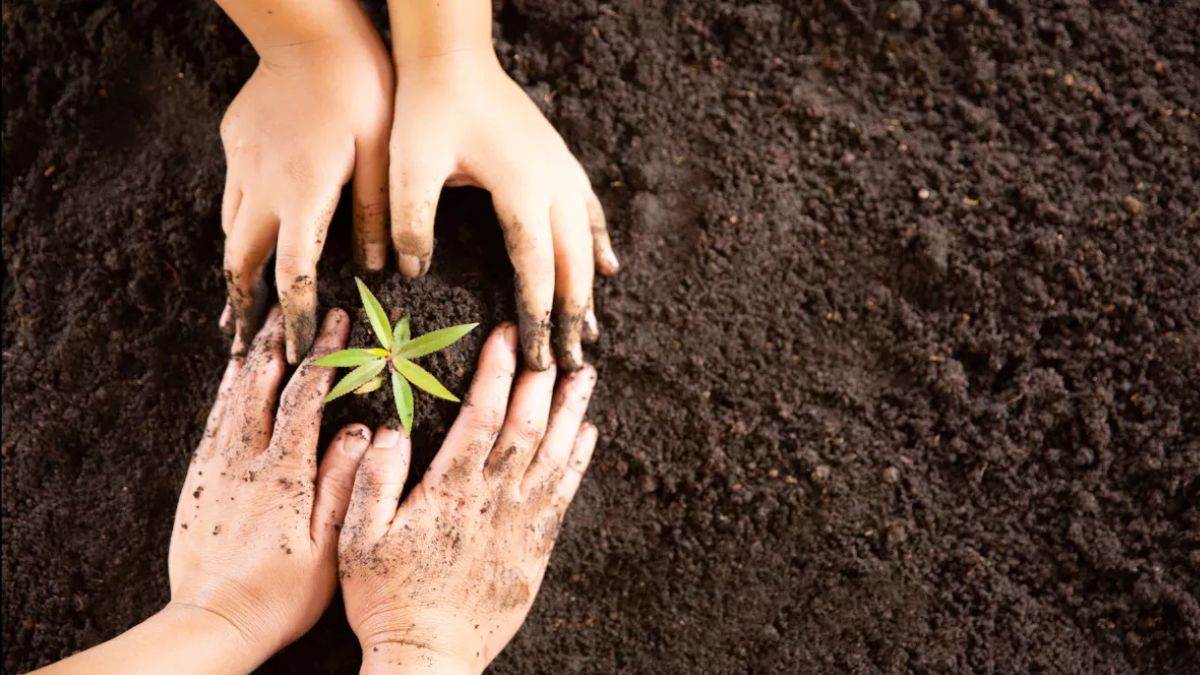 timely payments for soil testing agencies in patna city building projects