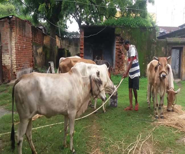 Weekly News Roundup Dhanbad : हड़ताल में रोजगार सेवकों को सुकून, जानें वजह