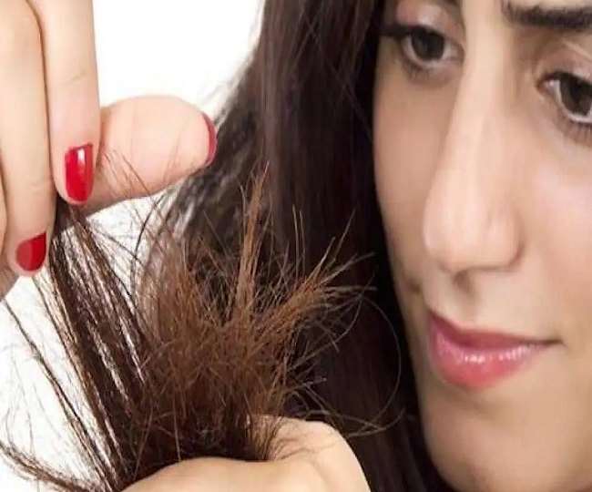if you want to get rid of split ends so you should apply this homemade natural mask on hair