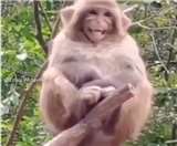 इस वीडियो को सेवा अधिकारी ने शेयर किया है