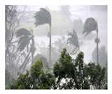 गया में सुबह से हो रही रिमझिम बरसात, सांकेतिक तस्&zwj;वीर।