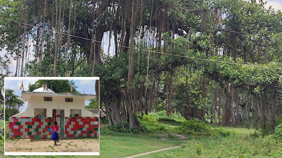 Bihar News: बक्‍सर और सिवान के मंदिरों में भाई-बहन की होती है पूजा; भैया-बहिनी पुल की है अलग ही कहानी - Happy Rakshabandhan 2022 Bhaiya Bahini temple of Daraunda in Siwan and