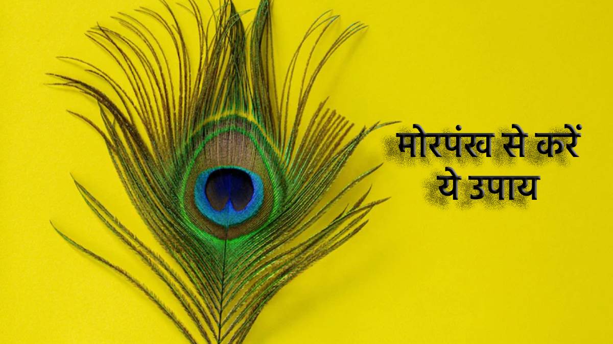Morpankh Ke Upay:भाद्रपद में मोर पंख से करें ये उपाय