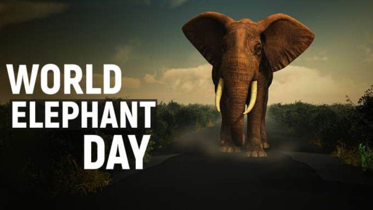 World Elephant Day: विश्व हाथी दिवस पर जानिए हाथी के बारे में रोचक बातें, एक दिन में खा जाता है