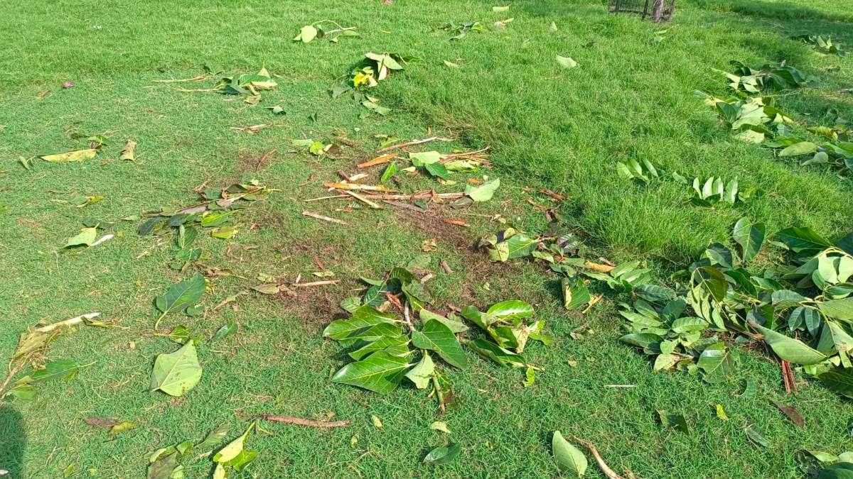 youth beaten to death after drinking alcohol in jhajjar two accused arrested