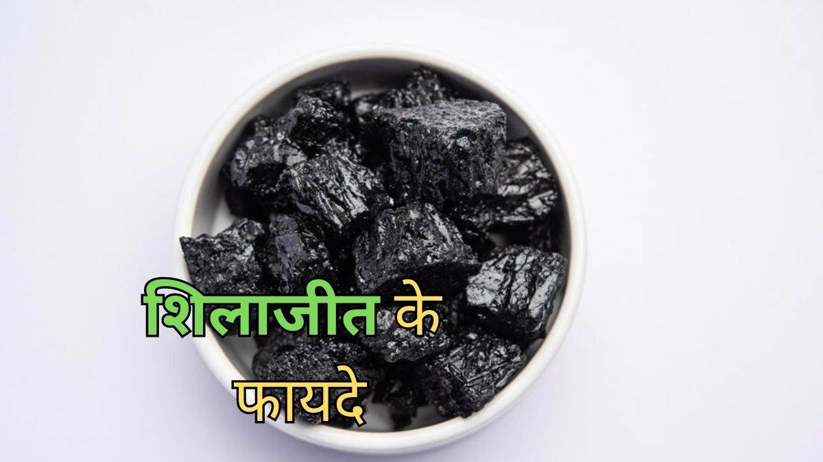 https://www.jagranimages.com/images/newimg/12082023/12_08_2023-shilajit_benefits_23497599.jpg