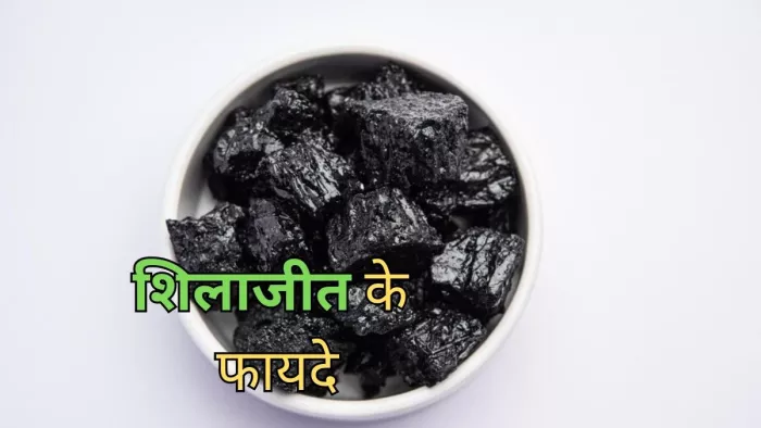 Shilajit Benefits For Women: जानिए शिलाजीत के हैरान करने वाले फायदे