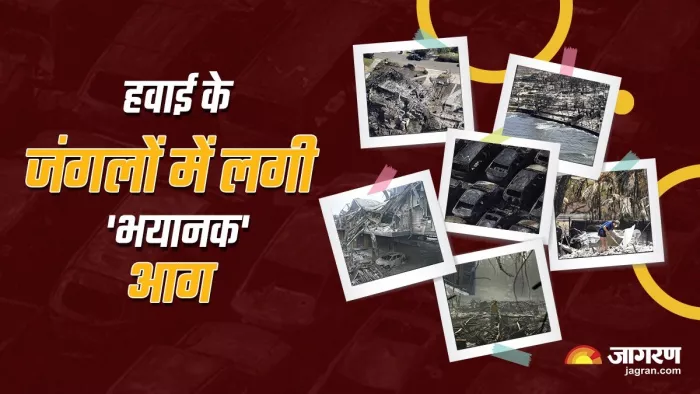 माउई जंगल की आग में मरने वालों की संख्या हुई 80