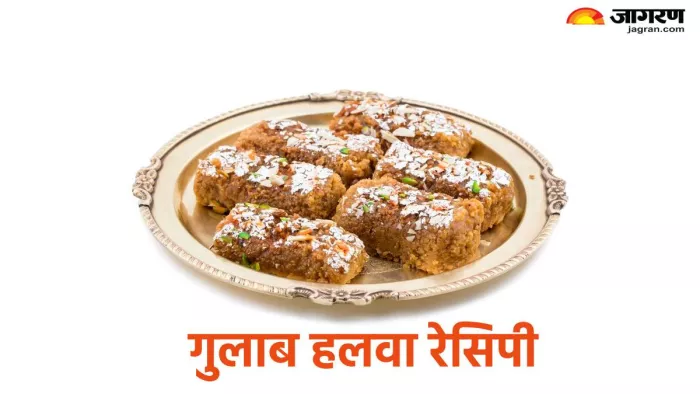 राजस्थानी मिठाई गुलाब हलवा रेसिपी (Pic credit- freepik)