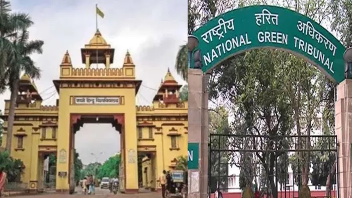 एनजीटी का यह फैसला पर्यावरण संरक्षण की दिशा में एक महत्वपूर्ण कदम है।