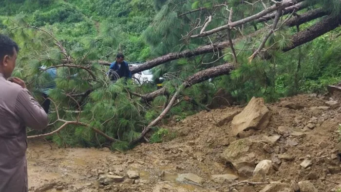 बिलासपुर में भूस्खलन व पेड़ गिरने से बंद सड़क। जागरण