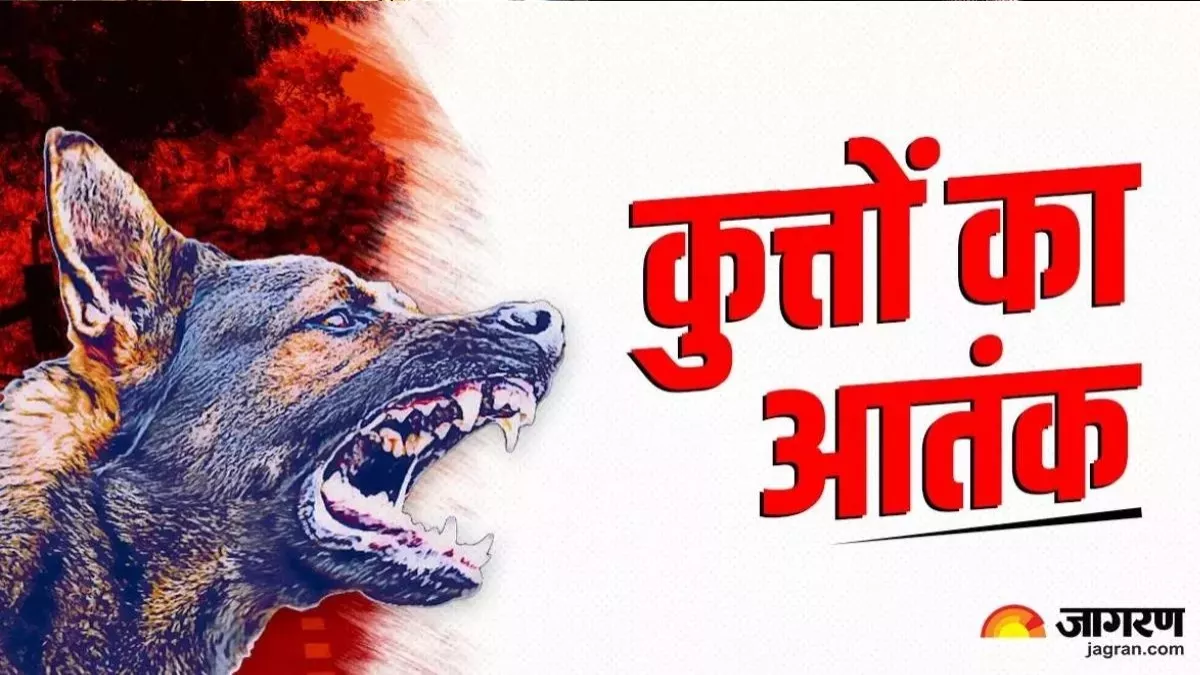 बनारस वालों... रेबीज से हो जाओ सावधान, यहां पांच माह से कुत्‍तों के बंध्‍याकरण का काम ठप पड़ा हुआ है