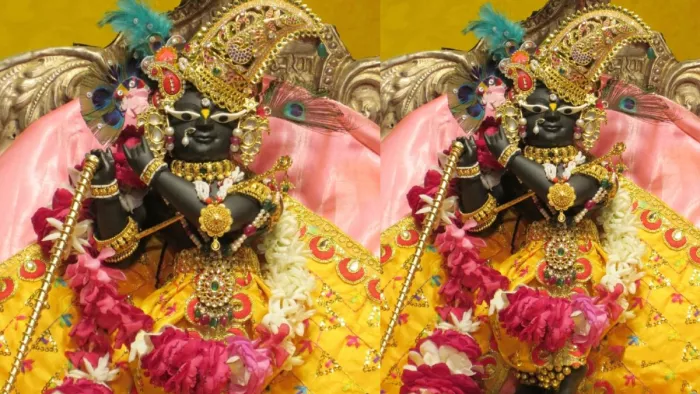 Mathura News: ठाकुर राधारमणलाजु। - फोटो: इंटरनेट मीडिया।