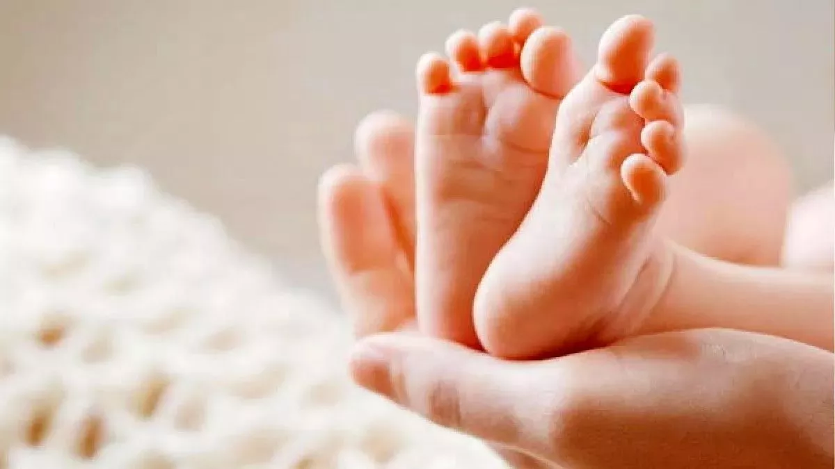 '3-4 बच्चे पैदा करने चाहिए', पाटीदार समाज के कार्यक्रम में लोगों से की गई अपील; वन चाइल्ड ट्रेंड को घातक बताया