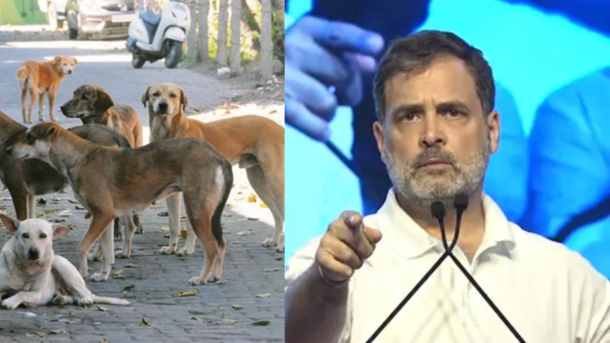 https://www.jagranimages.com/images/newimg/12082025/12_08_2025-rahul_gandhi_27_24011349.jpg
