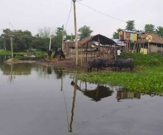 the number of displaced people is increasing in seemanchal every year they have to leave their homes in the rainy season