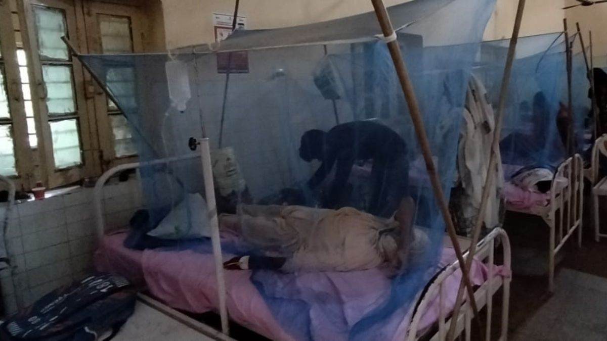 https://www.jagranimages.com/images/newimg/12092023/12_09_2023-dengue__23528418.jpg