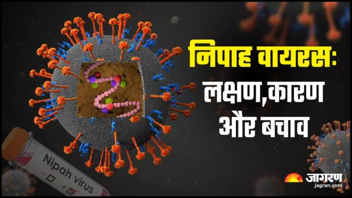 जानें निपाह वायरस के लक्षण से लेकर बचाव तक सबकुछ
