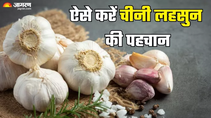 ऐसे करें चीनी लहसुन की पहचान (Picture Credit- Freepik)