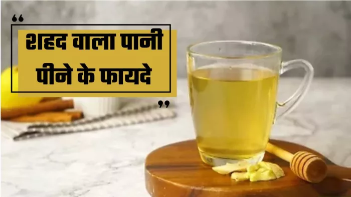 खाली पेट गुनगुने पानी में शहद मिलाकर पीना है फायदेमंद (Picture Courtesy: Freepik)
