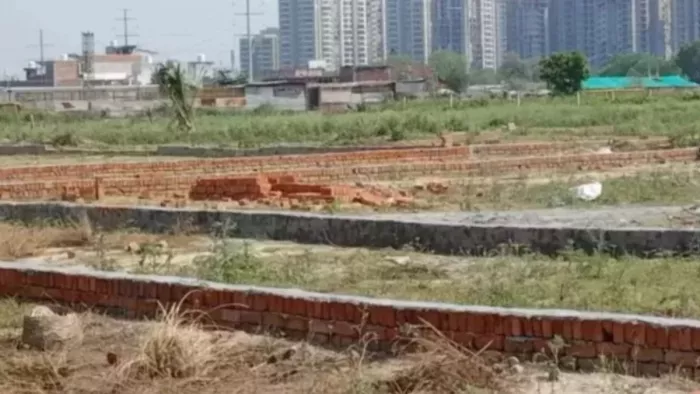प्रतिबंध हटने के बाद तीन गुना हुईं रजिस्ट्री।