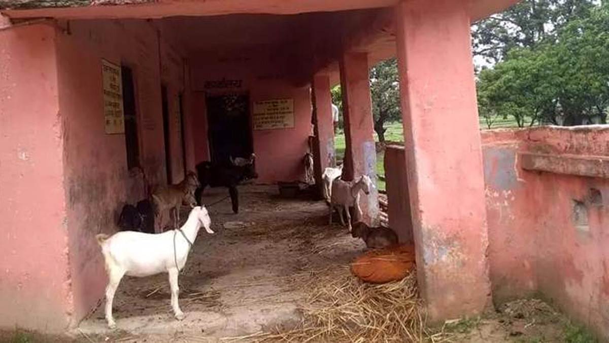 https://www.jagranimages.com/images/newimg/12092025/12_09_2025-bihar-govt-school_24043955.jpg