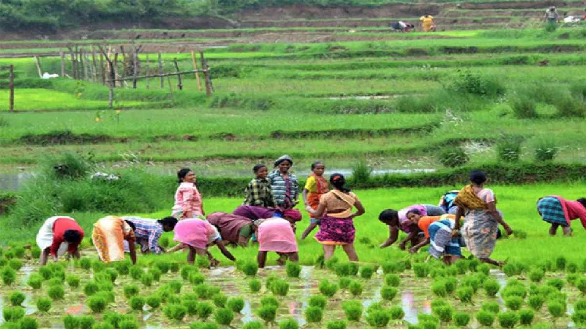 https://www.jagranimages.com/images/newimg/12092025/12_09_2025-farmers_24044591.jpg