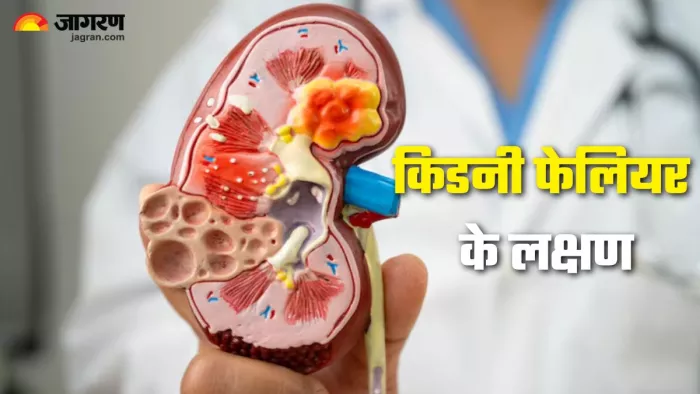 किडनी फेलियर के शुरुआती संकेत (Picture Credit- Freepik)