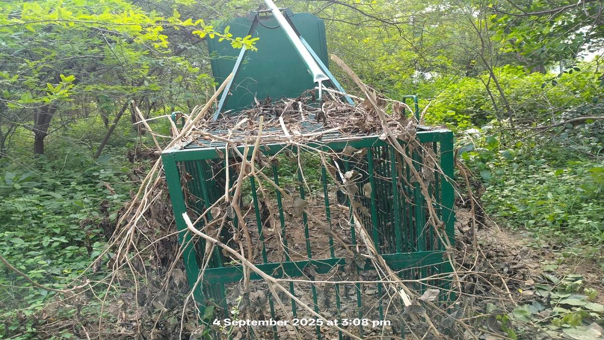 https://www.jagranimages.com/images/newimg/12092025/12_09_2025-prayagraj_leopard_attack_24044281.jpg