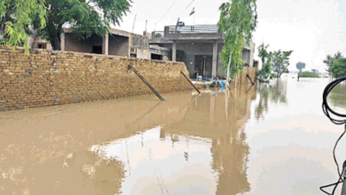 https://www.jagranimages.com/images/newimg/12092025/12_09_2025-punjab_flood__6_24044159.jpg