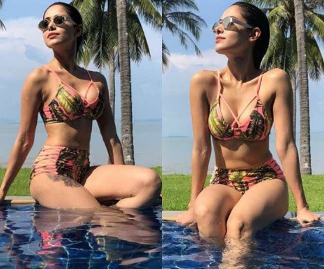 IN PICS Nushrat Bharucha Viral Bikini Photos Actress Enjoying ...