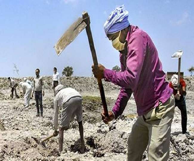 Sarkari Naukri: 44 government jobs, village employment ...