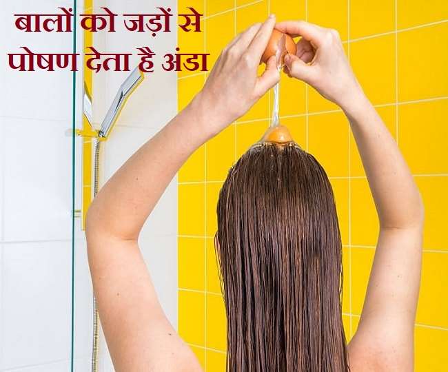 Egg Mask For Hair Growth And Thickness You Must Try  HealthKart
