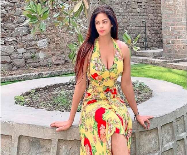actress meera chopra has filed an fir against her interior designer for outraging a woman modesty and criminal intimidation