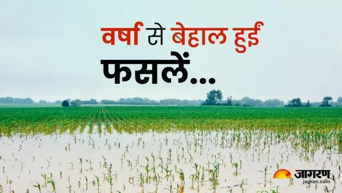 October Rainfall damages key Kharif crops, food prices may go up