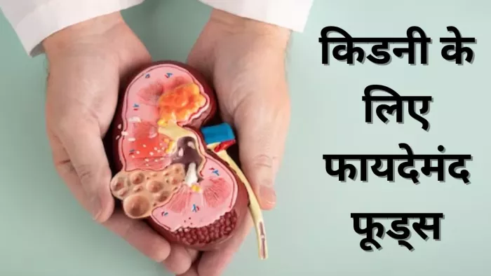 किडनी की अच्छी सेहत के लिए इन फूड आइटम्स को करें डाइट में शामिल