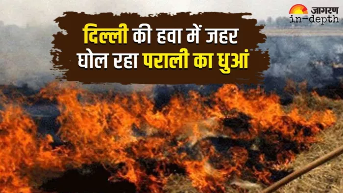 Delhi Air Pollution: पड़ोसी राज्यों से दिल्ली पहुंचने लगा पराली का धुआं