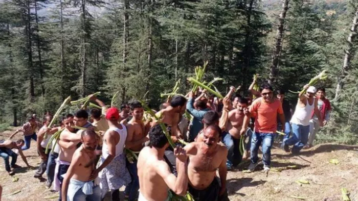 Dussehra 2024: जनजातीय क्षेत्र जौनसार में गागली युद्ध की परंपरा। फाइल फोटो