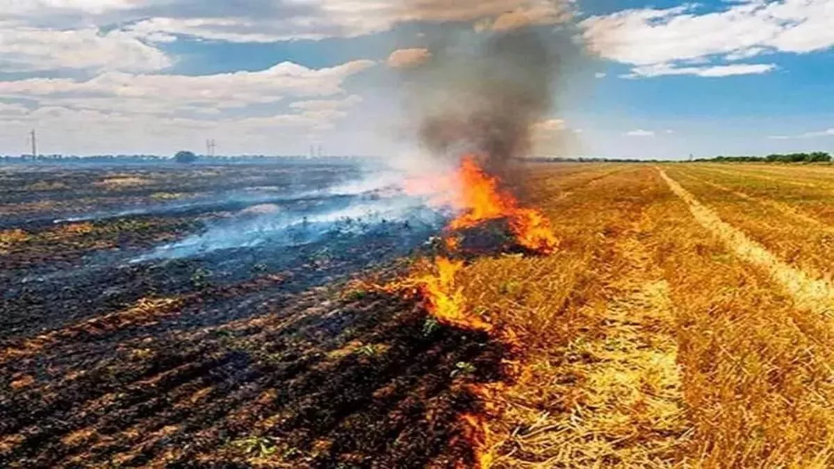 UP News: दिन ढलते ही शुरू हो जाता पराली जलाने का सिलसिला, ग्रामीणों का सांस लेना हुआ दूभर