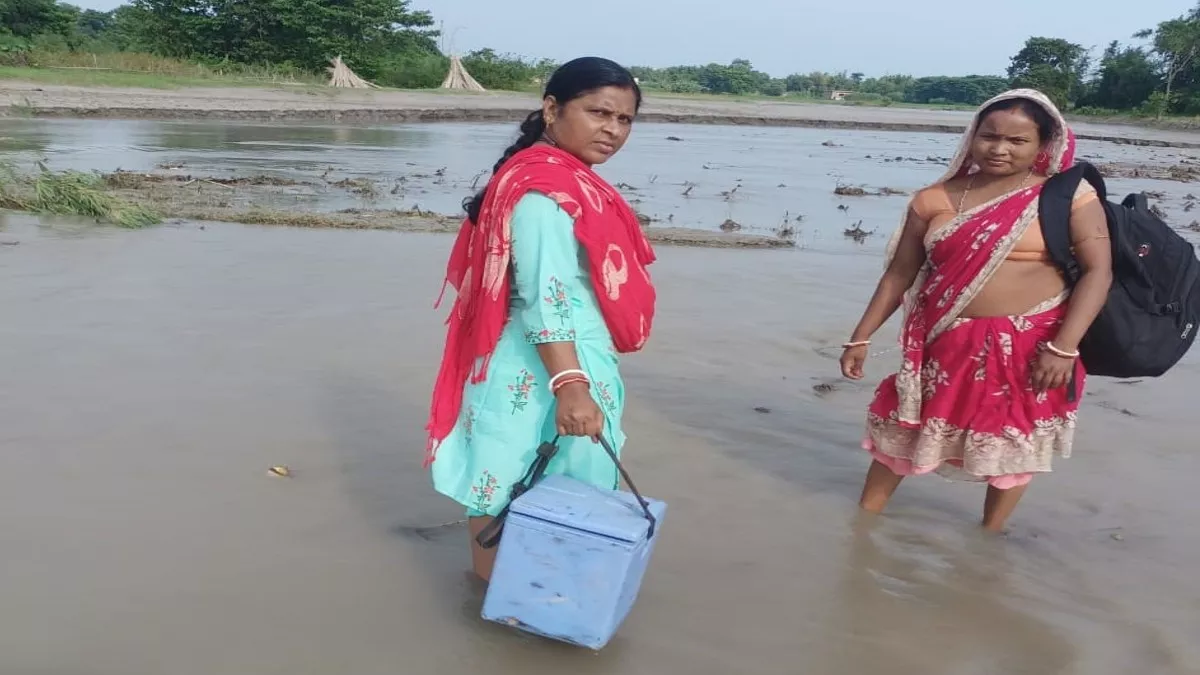 कौन है अररिया की नाव वाली दीदी कामिनी, जिनकी गोद में गूंजती हैं किलकारियां,  स्वस्थ रहती हैं गर्भवती महिला - Who is boat sister Kamini of Araria, in  whose lap the kilkari