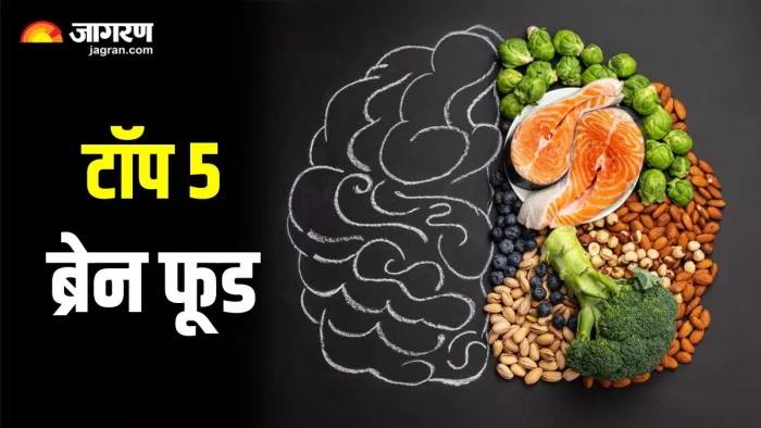 ब्रेन पावर को बढ़ाने के लिए डाइट में शामिल करें 5 Foods (Image Source: Freepik)