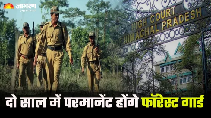 हिमाचल में 2 साल की कॉन्ट्रेक्ट जॉब के तुरंत बाद परमानेंट होंगे फॉरेस्ट गार्ड (फाइल फोटो)