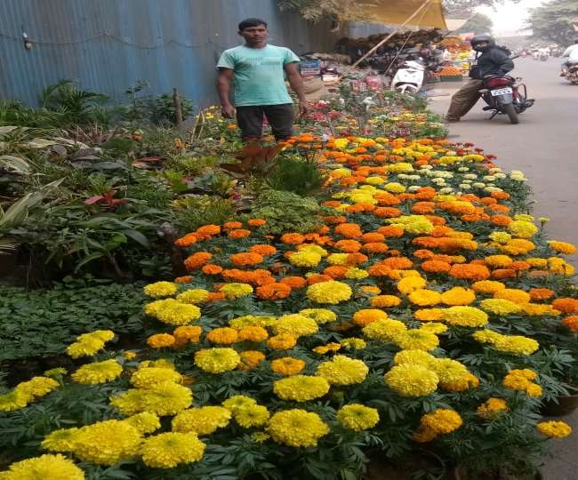 Flower gardening in winter season at jamshedpur