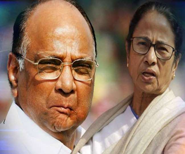 bengal chief minister and trinamool congress supremo mamta banerjee wishes sharad pawar on his birthday
