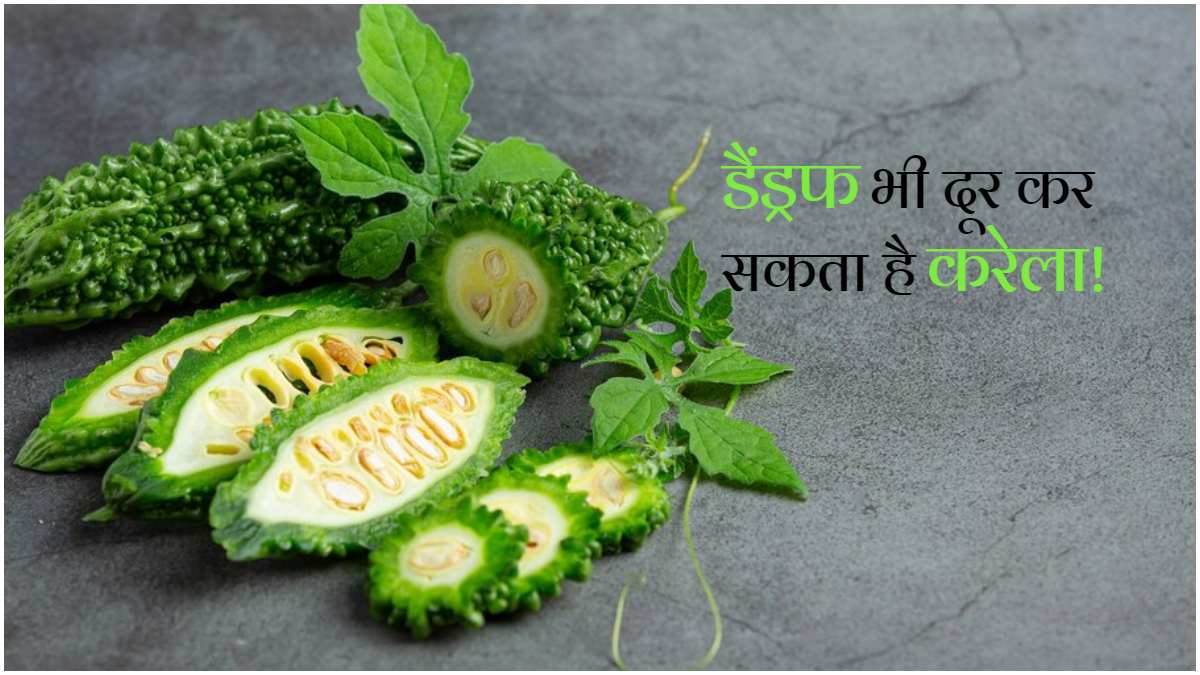 Kad Rela Karela Benefits: सिर्फ शरीर ही नहीं बालों और त्वचा को भी फायदा पहुंचाता ...