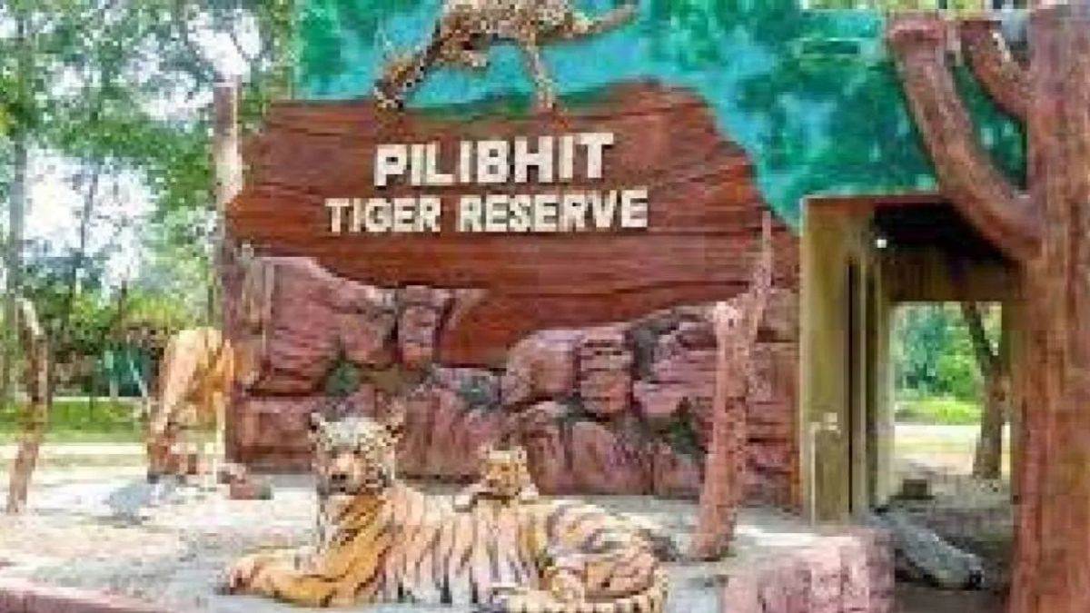 https://www.jagranimages.com/images/newimg/12122022/12_12_2022-pilibhit_tiger_reserve_1_23254700_173534542.jpg