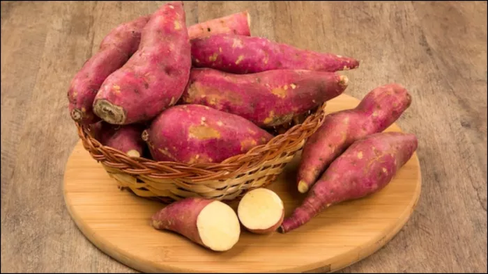 सेहत के लिए फायदेमंद है सर्दियों में शकरकंद का सेवन