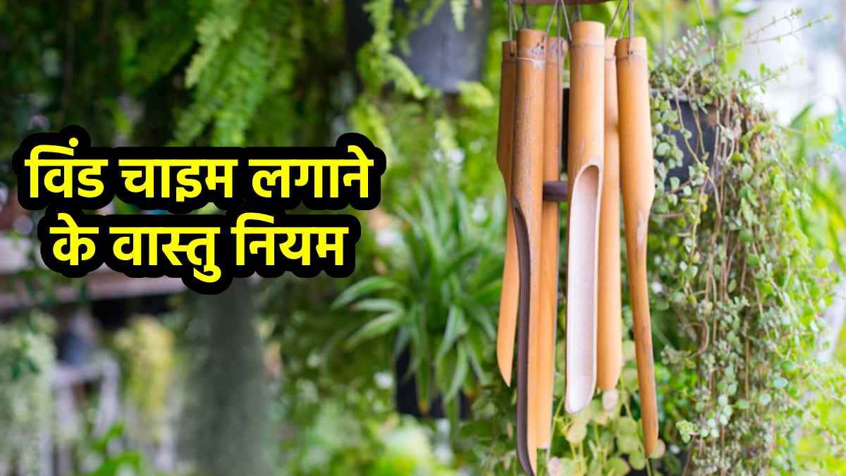 Vastu Tips For Wind Chime घर में विंड चाइम लगाते समय न करें ये गलतियां